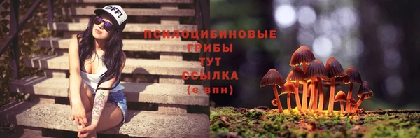 Альфа ПВП Бугульма