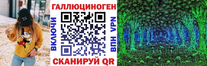 Псилоцибиновые грибы Psilocybe  где можно купить   Кизилюрт 